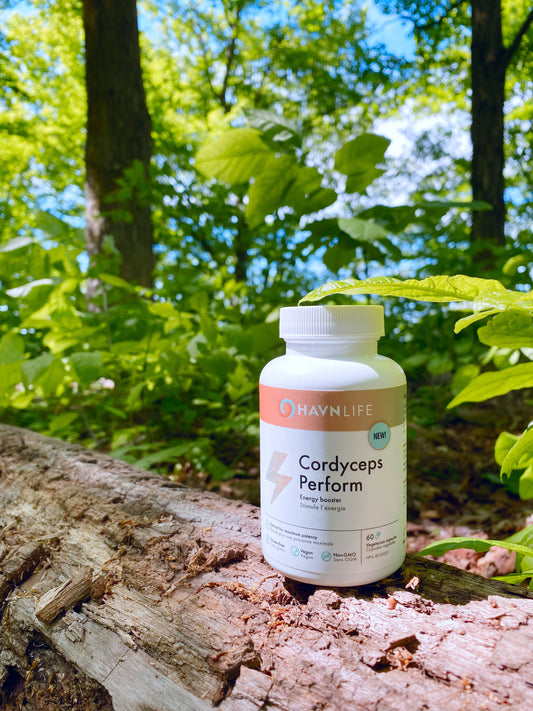 Cordyceps Perform by Havn Life