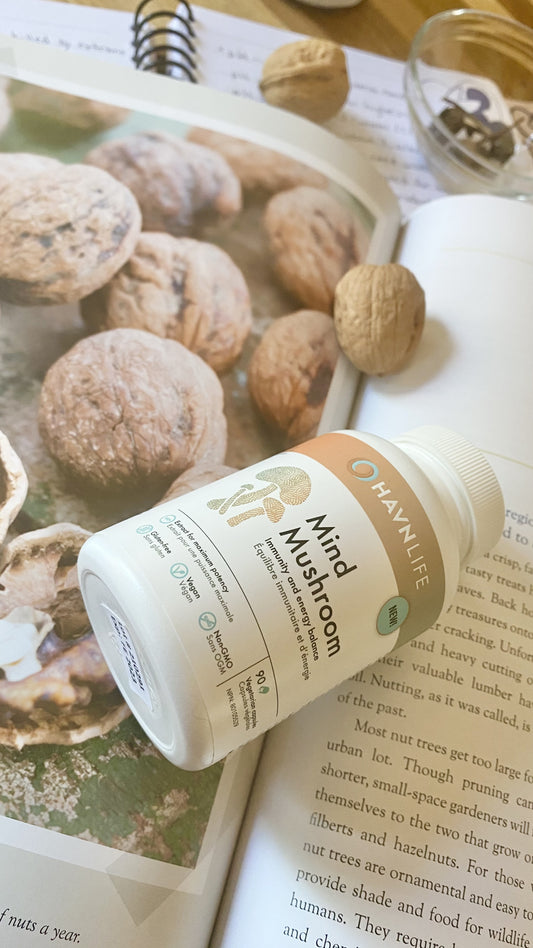 Achieve peak performance with the power of mushrooms!