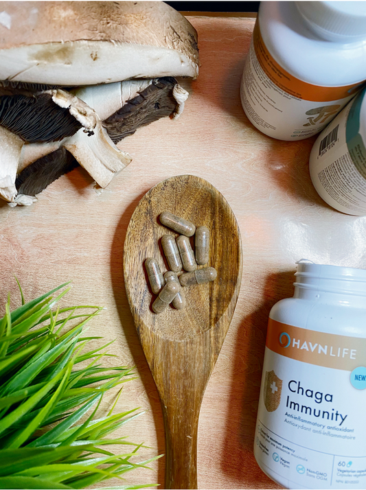 Chaga Immunity by Havn Life