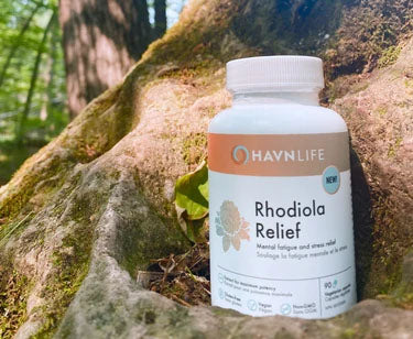 Rhodiola Relief by Havn Life