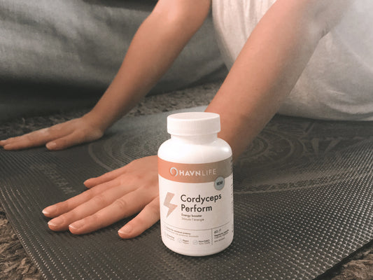 Mushroom Energy (HavnLife Cordyceps Perform)