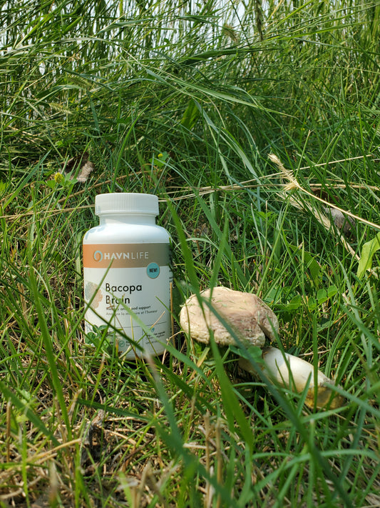 HavnLife Bacopa Brain-Memory and Mood Support
