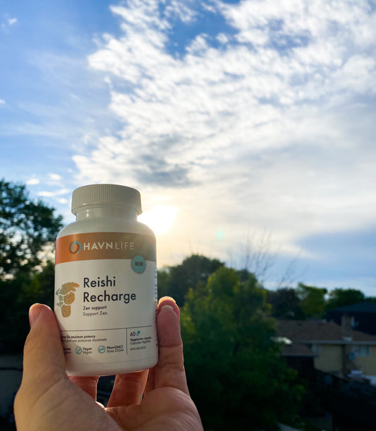Reishi Recharge by Havn Life
