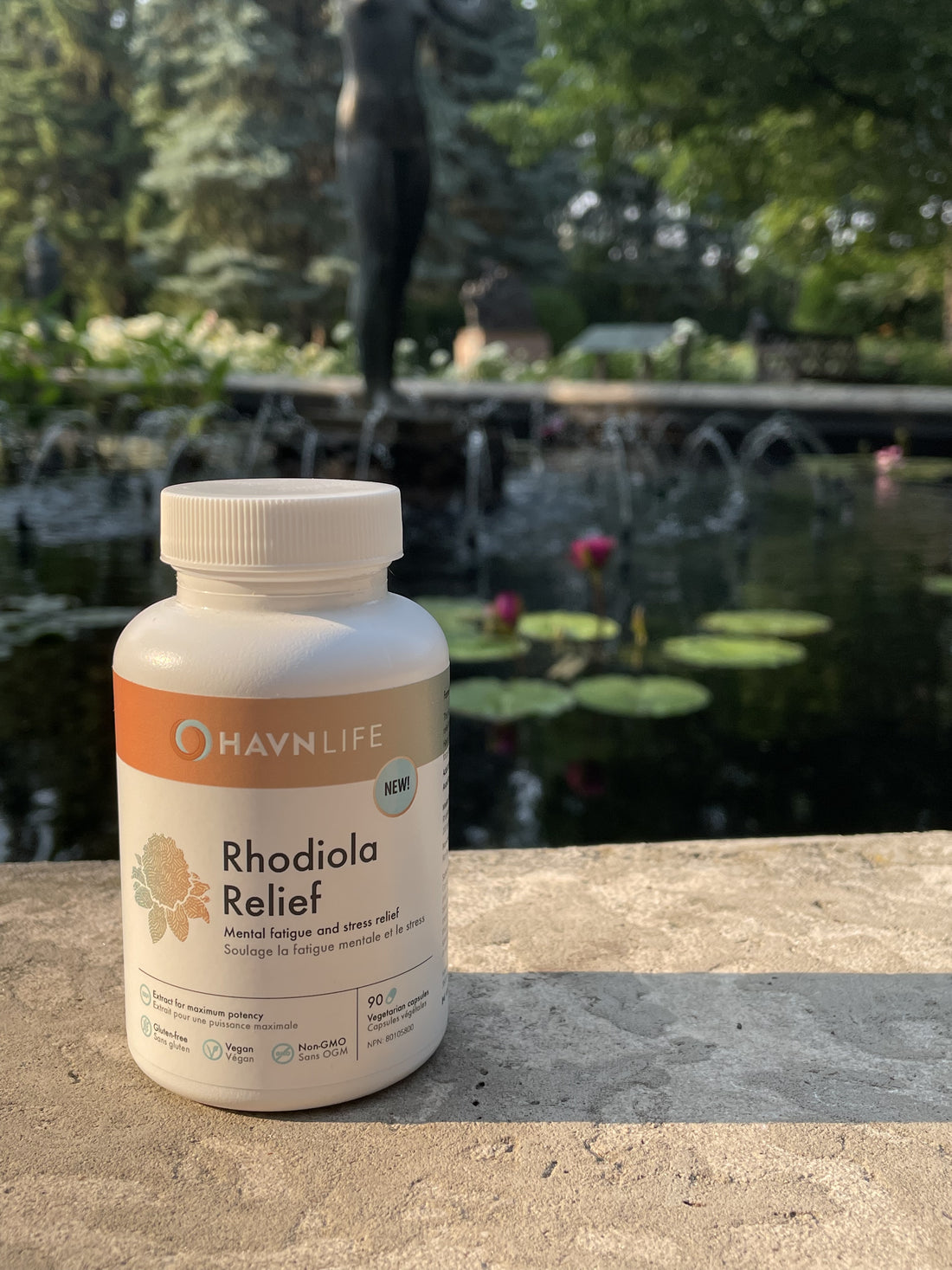 Rhodiola: energy for what matters most!