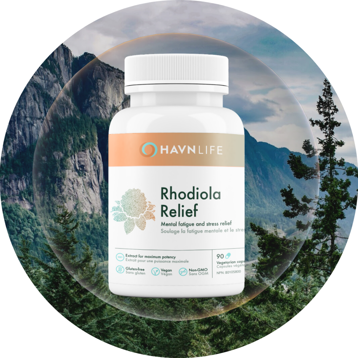 Rhodiola Relief