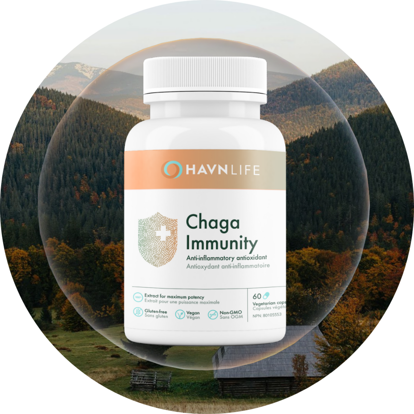 Chaga Immunity