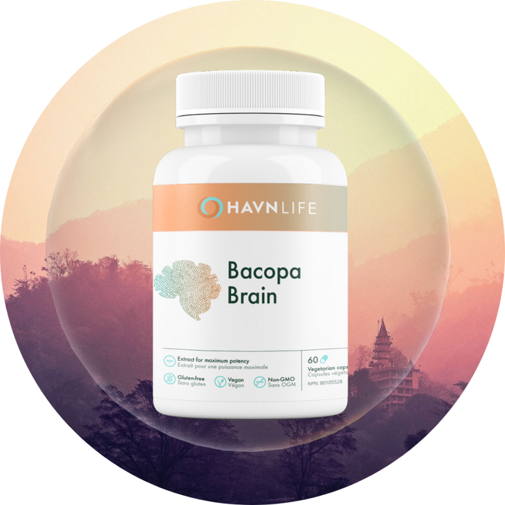 Bacopa Brain