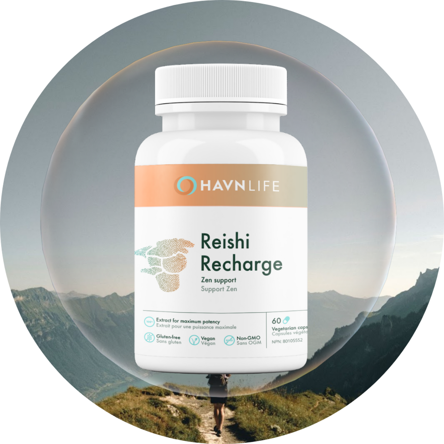 Reishi Recharge